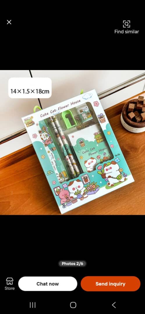 IMG-20260909-WA0037 6-Piece Cute Capybara School Stationery Set