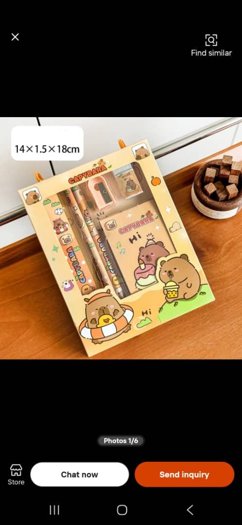 IMG-20260909-WA0039 6-Piece Cute Capybara School Stationery Set