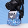 Kids Cartoon Insulated Lunch Bag – Portable School Lunch Cooler